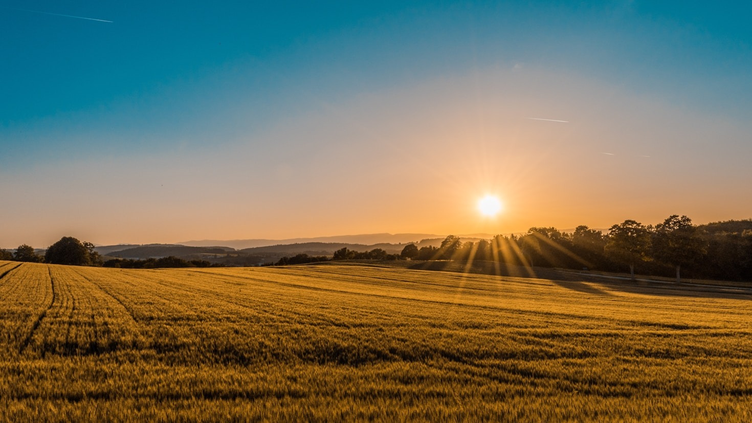 Expert Tips for Thriving Farm Ventures